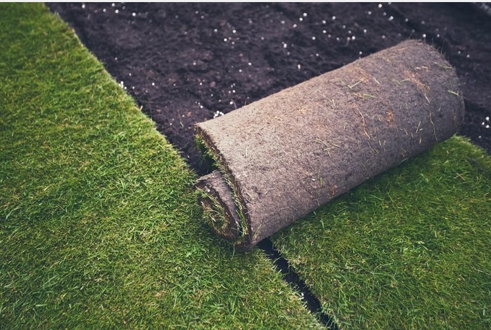 Sod roll ready to be installed on prepared soil