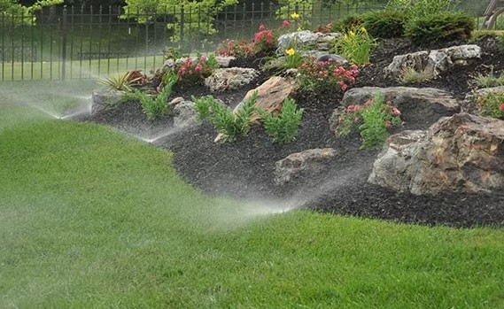 Sprinkler zone watering a rock-and-plant border